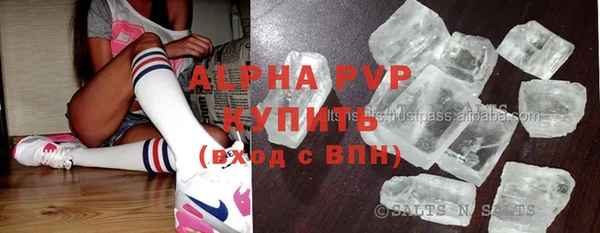 стаф Балахна
