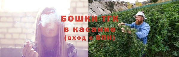 стаф Балахна